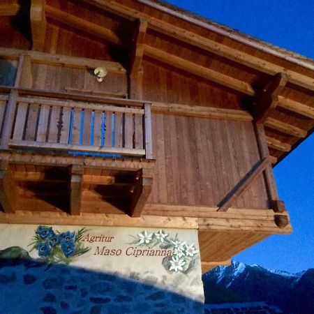 Agritur Maso Ciprianna B&B Rabbi Eksteriør billede